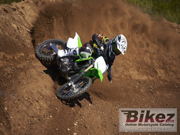 2013 Kawasaki KX 100 photo